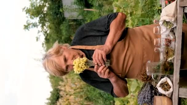 Mujer Hierbas Flores Secas Medicina Alternativa Medicinal Enfoque Selectivo Naturaleza — Vídeos de Stock