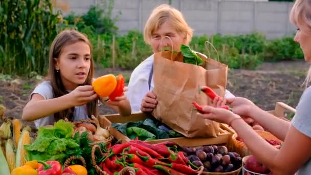 Бабуся Онука Продають Овочі Фрукти Ринку Фермерів Вибірковий Фокус Їжа — стокове відео