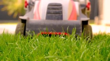 Çim biçme makinesi çimleri biçer. Seçici odaklanma. Doğa.