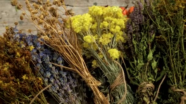 Сушеные Травы Цветы Альтернативная Медицина Лечебный Чай Выборочный Фокус Природа — стоковое видео