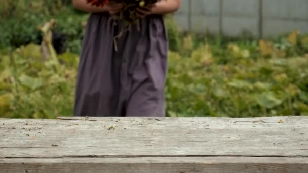 Femme Herbes Fleurs Séchées Médecine Alternative Thé Médicinal Concentration Sélective — Video