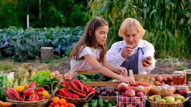 Mormor Och Barnbarn Säljer Grönsaker Och Frukt Marknaden Selektivt Fokus — Stockvideo
