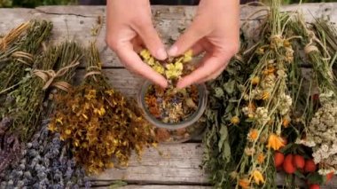 Kadın ve otlar ve kurumuş çiçekler alternatif tıp ve tıbbi çay. Seçici odaklanma. Doğa.
