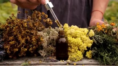 Kadın ve otlar ve kurumuş çiçekler alternatif tıp ve tıbbi çay. Seçici odaklanma. Doğa.