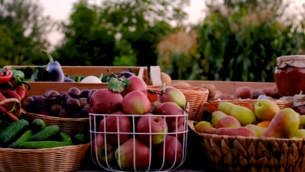 Obst Und Gemüse Auf Dem Bauernmarkt Selektiver Fokus Lebensmittel — Stockvideo