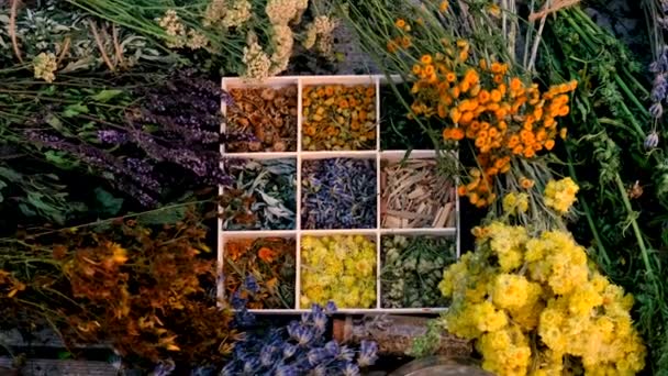 Flori Ierburi Uscate Ceai Medicină Alternativă Focalizare Selectivă Natura — Videoclip de stoc