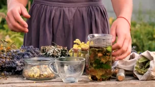 Женщина Травы Сушеные Цветы Альтернативная Медицина Лечебный Чай Выборочный Фокус — стоковое видео