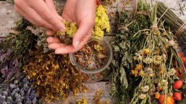 Kadın ve otlar ve kurumuş çiçekler alternatif tıp ve tıbbi çay. Seçici odaklanma. Doğa.