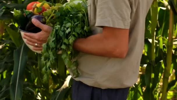 Мужчина Фермер Овощами Руках Выборочный Фокус Еда — стоковое видео