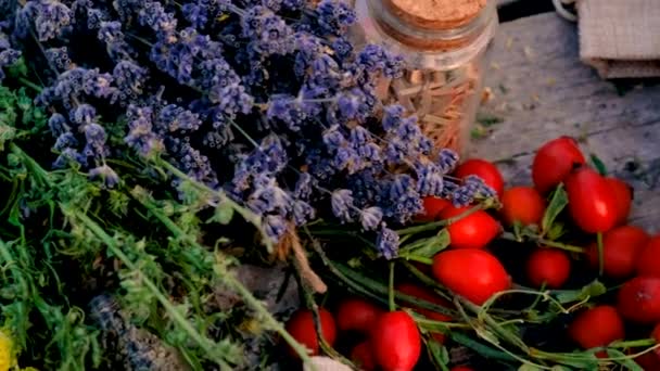 Flores Secas Ervas Chá Medicina Alternativa Foco Seletivo Natureza — Vídeo de Stock