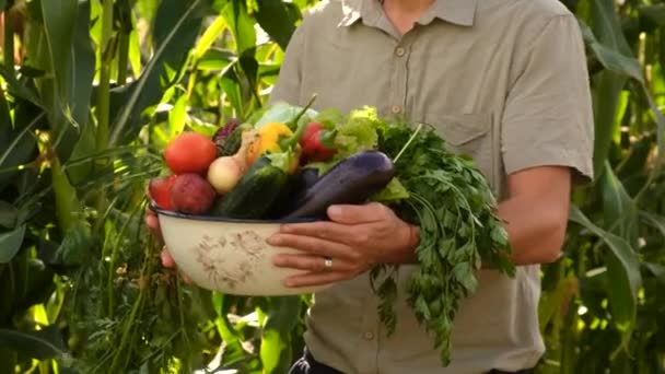 Mannelijke Boer Met Groenten Zijn Handen Selectieve Focus Voedsel — Stockvideo