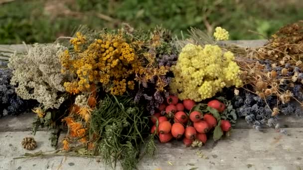 Torkade Örter Och Blommor Alternativ Medicin Och Medicinska Selektivt Fokus — Stockvideo