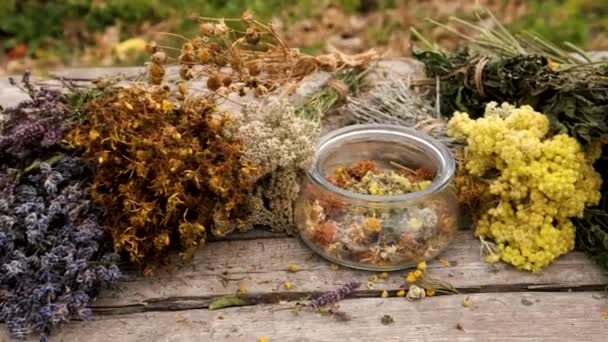 Dried Herbs Flowers Alternative Medicine Medicinal Tea Selective Focus Nature — Stock Video