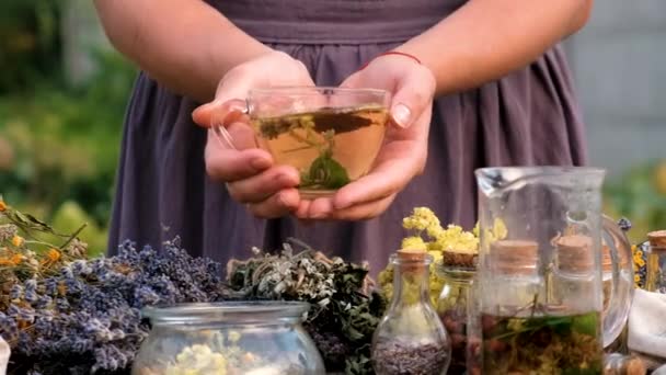 女性とハーブと乾燥花代替医療と薬用紅茶 選択的な焦点 ネイチャー — ストック動画