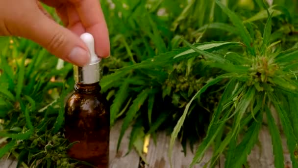 瓶の中の大麻油 選択的フォーカス — ストック動画