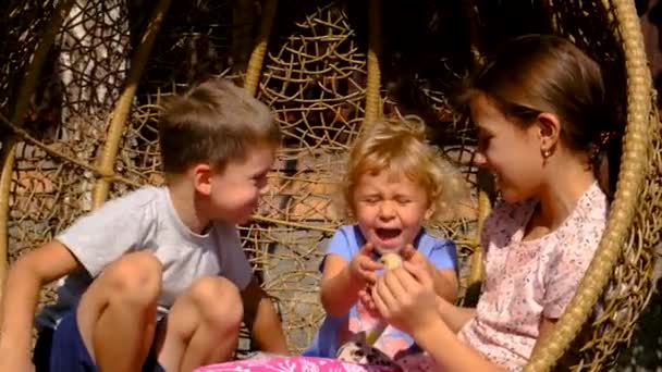 チキンを手にした子供たち 選択的な焦点 ネイチャー — ストック動画