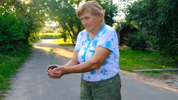 Een Oude Vrouw Houdt Een Plant Haar Handen Selectieve Focus — Stockvideo