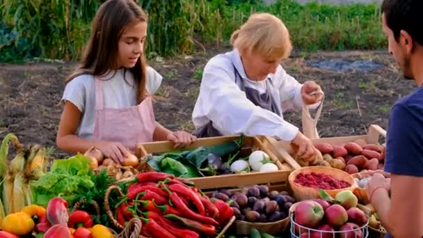 Mormor Och Barnbarn Säljer Grönsaker Och Frukt Marknaden Selektivt Fokus — Stockvideo