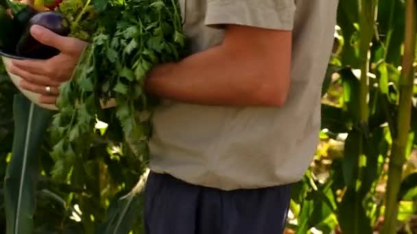 彼の手には野菜を持った男性農家 選択的な焦点 フード — ストック動画