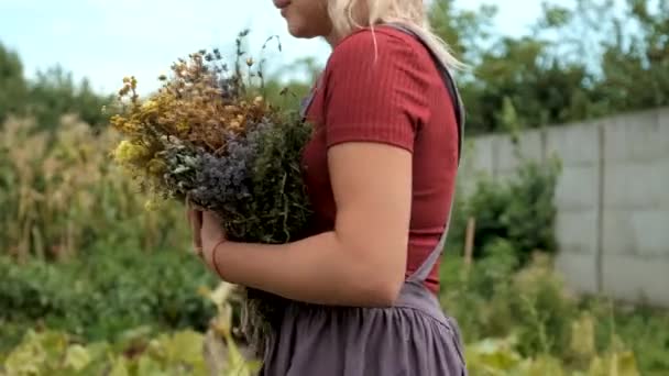 Gyógynövények Szárított Virágok Alternatív Gyógyászat Gyógytea Szelektív Fókusz Természet — Stock videók