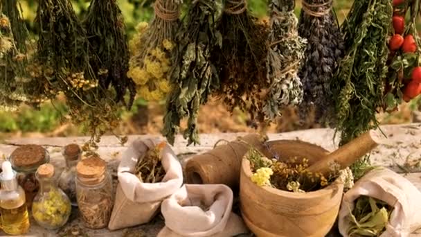Dried Herbs Flowers Alternative Medicine Medicinal Tea Selective Focus Nature — Stock Video