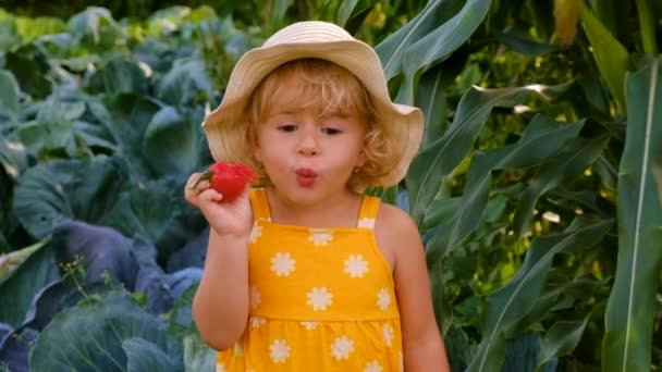 Bahçede Sebzeli Çocuk Seçici Odaklanma Çocuk — Stok video