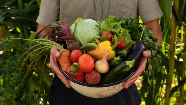 Manlig Bonde Med Grönsaker Händerna Selektivt Fokus Livsmedel — Stockvideo