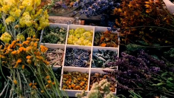 Torkade Blommor Och Örter Och Alternativ Medicin Selektivt Fokus Natur — Stockvideo