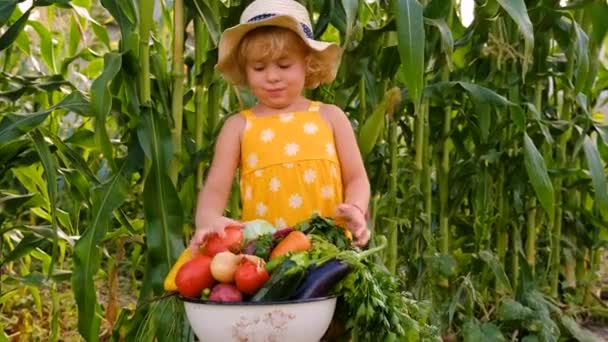 Дитина Овочами Саду Вибірковий Фокус Хлопчик — стокове відео
