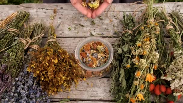 Женщина Травы Сушеные Цветы Альтернативная Медицина Лечебный Чай Выборочный Фокус — стоковое видео
