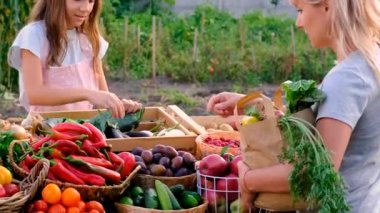 Bir çocuk çiftçi pazarında sebze ve meyve satar. Seçici odaklanma. Yiyecek..