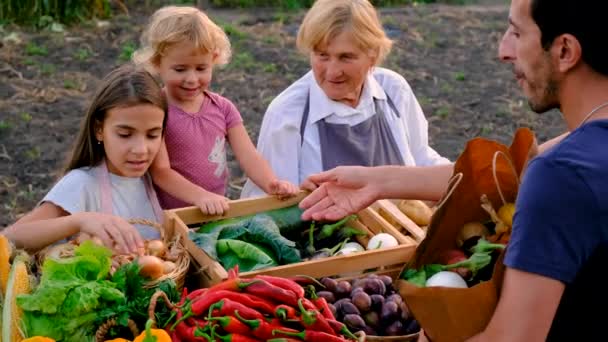 Бабушка Внучка Продают Овощи Фрукты Фермерском Рынке Выборочный Фокус Еда — стоковое видео