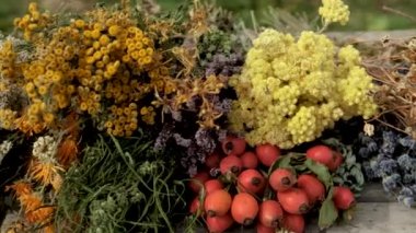 Kurutulmuş otlar, çiçekler alternatif tıp ve tıbbi çay. Seçici odaklanma. Doğa.