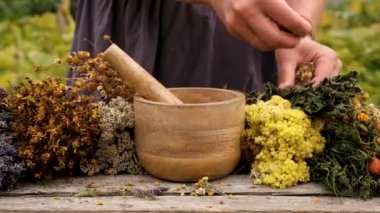 Kadın ve otlar ve kurumuş çiçekler alternatif tıp ve tıbbi çay. Seçici odaklanma. Doğa.