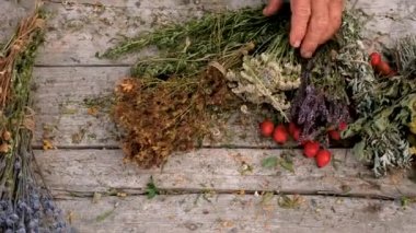 Kadın ve otlar ve kurumuş çiçekler alternatif tıp ve tıbbi çay. Seçici odaklanma. Doğa.