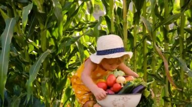 Bahçede sebzeli çocuk. Seçici odaklanma. Çocuk.