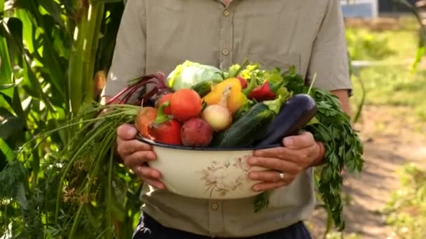 Homem Agricultor Com Legumes Nas Mãos Foco Seletivo Alimentos — Vídeo de Stock