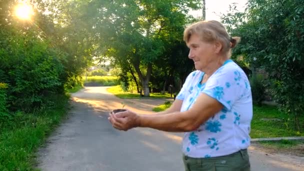 Een Oude Vrouw Houdt Een Plant Haar Handen Selectieve Focus — Stockvideo