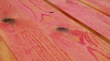 Kurula kırmızı koruma çözeltisi veriyor. Seçici odaklanma. Doğa.