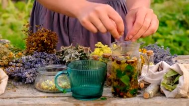 Kadın ve otlar ve kurumuş çiçekler alternatif tıp ve tıbbi çay. Seçici odaklanma. Doğa.