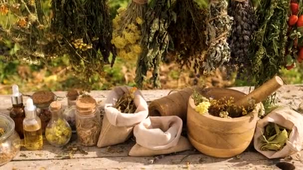 Сушеные Травы Цветы Альтернативная Медицина Лечебный Чай Выборочный Фокус Природа — стоковое видео