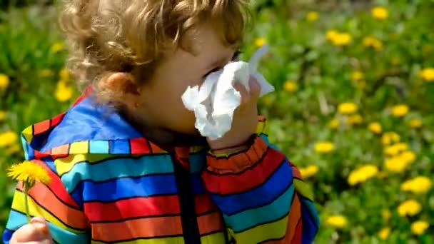 Dziecko Jest Uczulone Kwiaty Wybiórcze Skupienie Dzieciaku — Wideo stockowe