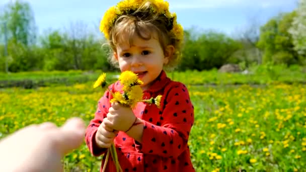 Ребенок Дарит Своей Матери Цветы Одуванчика Выборочный Фокус Природа — стоковое видео
