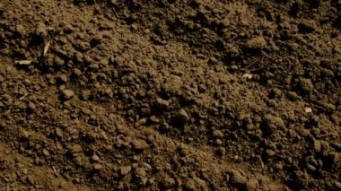 Bir traktör tarlada toprağı sürüyor. Seçici odaklanma. Doğa.