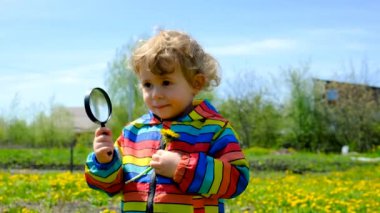 Bir çocuk elinde büyüteçle karahindiba çiçeklerine bakar. Seçici odaklanma. Çocuk.