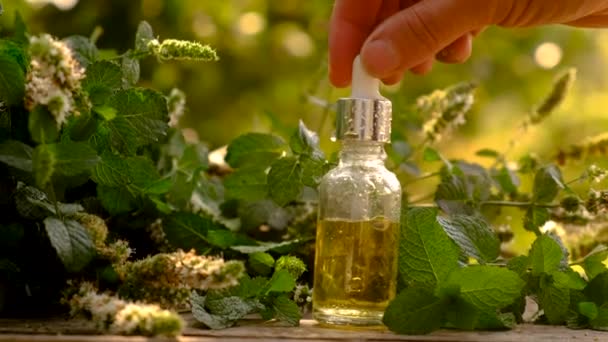 Peppermint Essential Oil Bottle Selective Focus Nature — Stock Video