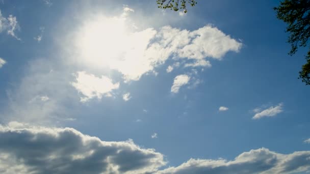 Sol Está Brilhando Céu Foco Seletivo Natureza — Vídeo de Stock