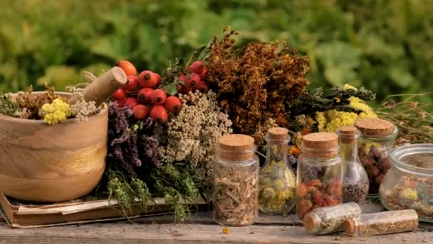 乾燥したハーブと花の代替薬と薬用紅茶 選択的な焦点 ネイチャー — ストック動画