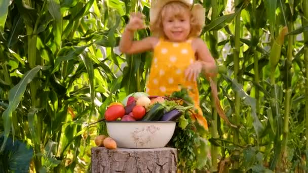 Ребенок Овощами Саду Выборочный Фокус Kid — стоковое видео