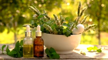 Şişe içindeki nane yağı. Seçici odaklanma. Doğa.